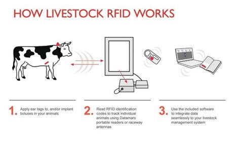 animal rfid reader|rfid animal tracking.